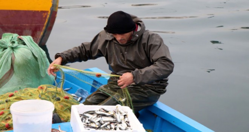 Küçük ölçekli avcılık yapan balıkçılar dertli