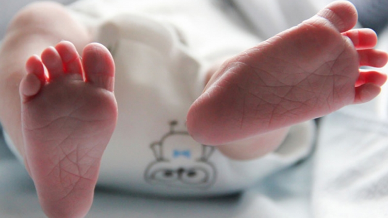 Aynı hastanede doğan 11 bebek öldü